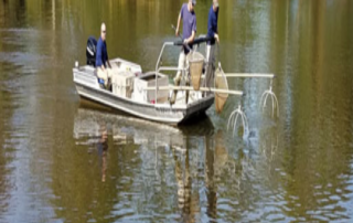 Electrofishing My Private 10 Acre Lake