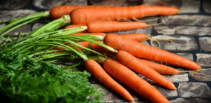 Carrots Homestead Garden