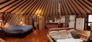 Luxurious Yurt